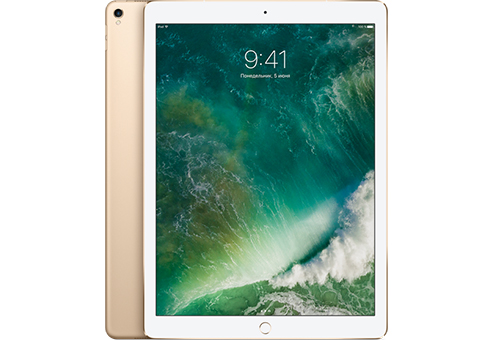 

MPA62RU/A Apple iPad Pro 12,9" Wi-Fi + Cellular 256 ГБ, золотой