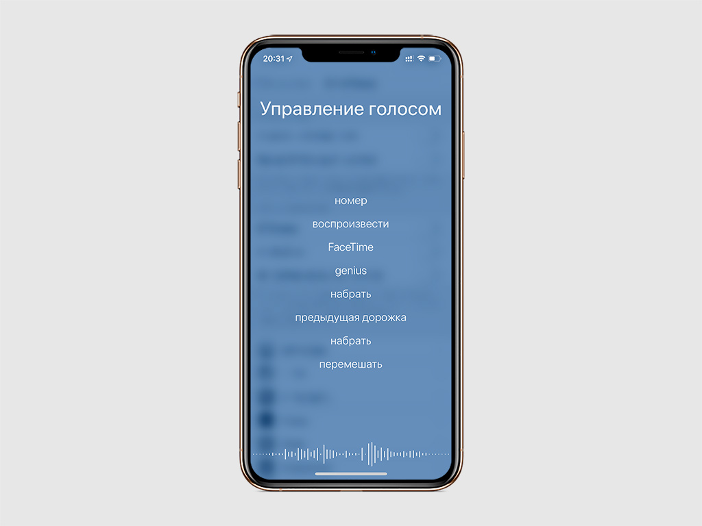 Голосовое управление фото на айфоне
