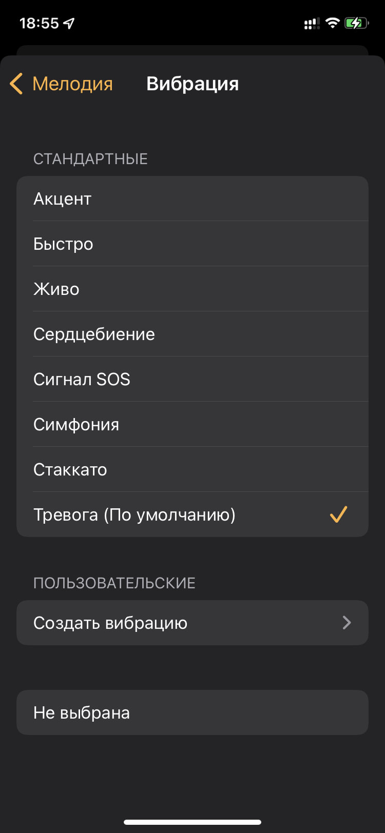 Вибрация вместо мелодии во встроенном будильнике iPhone — Блог restore  Digest